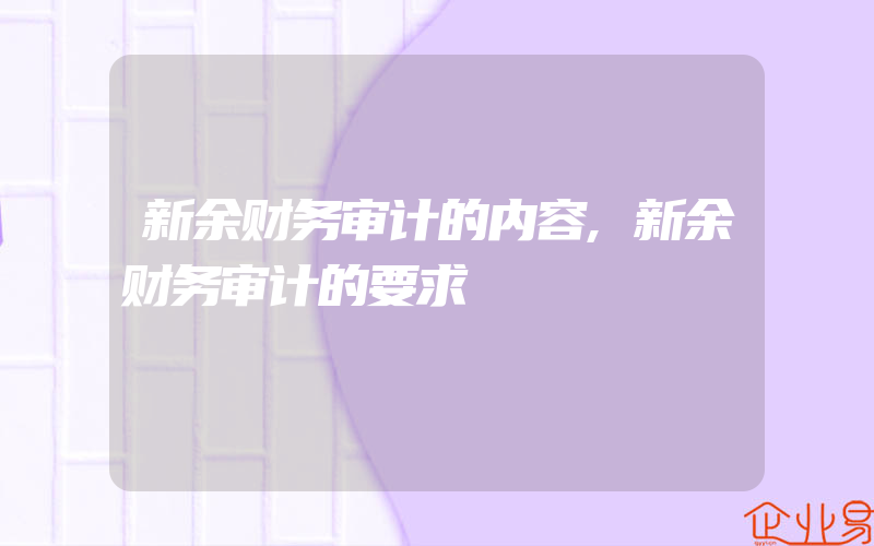 新余财务审计的内容,新余财务审计的要求