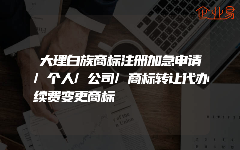 大理白族商标注册加急申请/个人/公司/商标转让代办续费变更商标