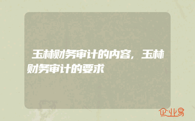 玉林财务审计的内容,玉林财务审计的要求
