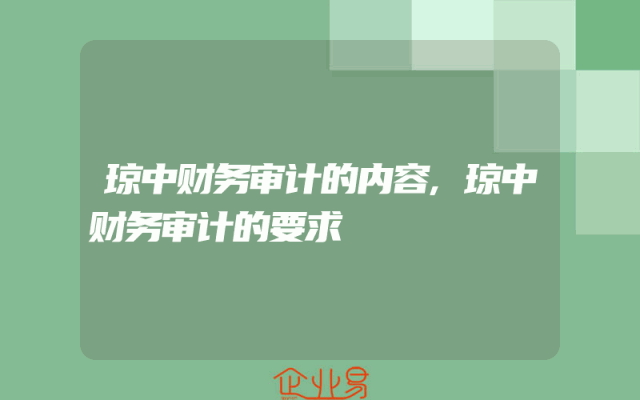 琼中财务审计的内容,琼中财务审计的要求