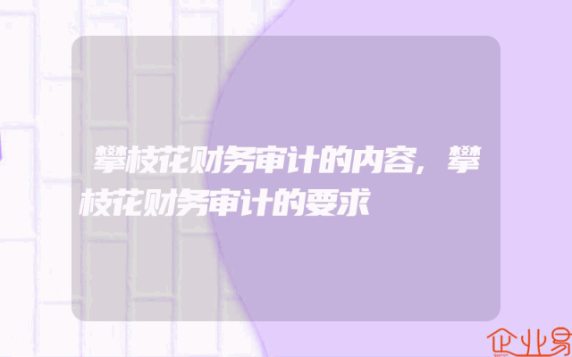 攀枝花财务审计的内容,攀枝花财务审计的要求