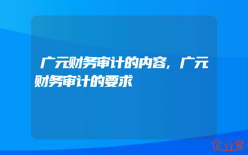 广元财务审计的内容,广元财务审计的要求