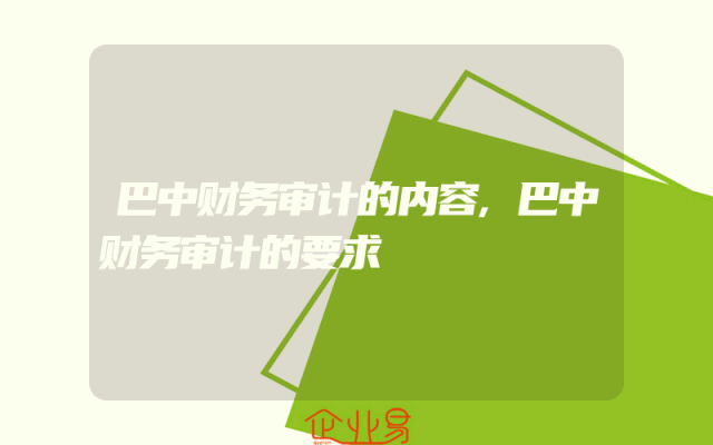 巴中财务审计的内容,巴中财务审计的要求