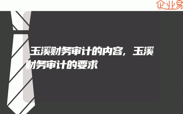 玉溪财务审计的内容,玉溪财务审计的要求