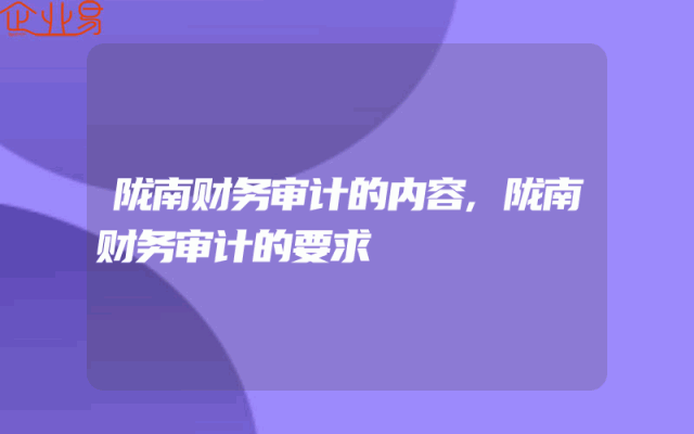 陇南财务审计的内容,陇南财务审计的要求