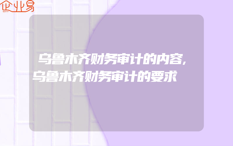 乌鲁木齐财务审计的内容,乌鲁木齐财务审计的要求