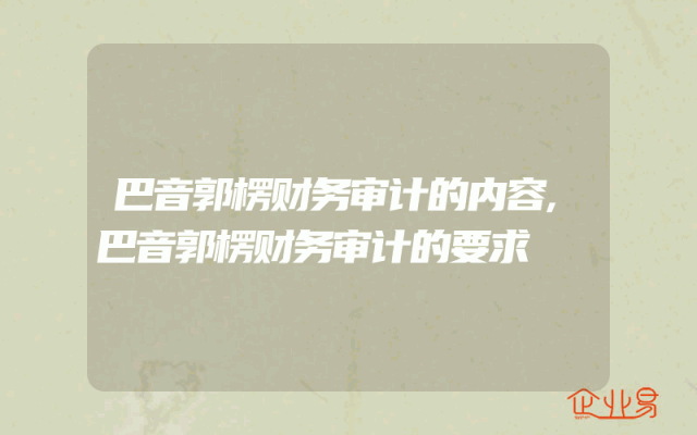 巴音郭楞财务审计的内容,巴音郭楞财务审计的要求
