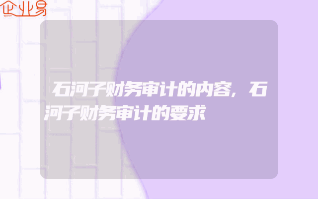 石河子财务审计的内容,石河子财务审计的要求