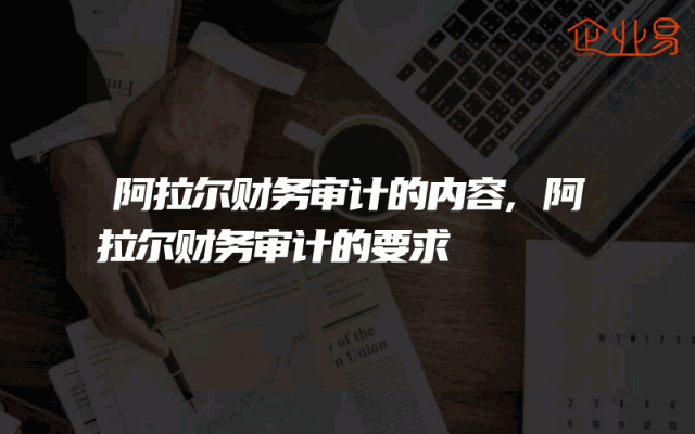 阿拉尔财务审计的内容,阿拉尔财务审计的要求