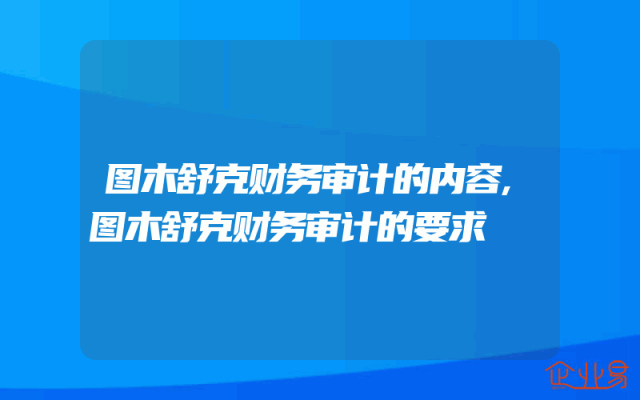 图木舒克财务审计的内容,图木舒克财务审计的要求
