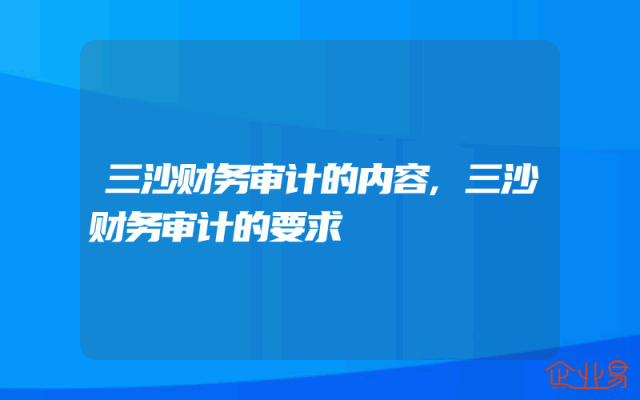 三沙财务审计的内容,三沙财务审计的要求