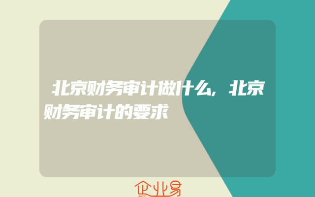 北京财务审计做什么,北京财务审计的要求