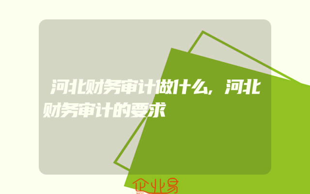 河北财务审计做什么,河北财务审计的要求
