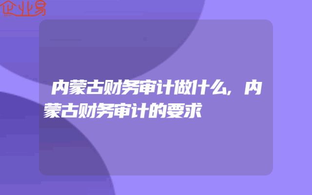 内蒙古财务审计做什么,内蒙古财务审计的要求