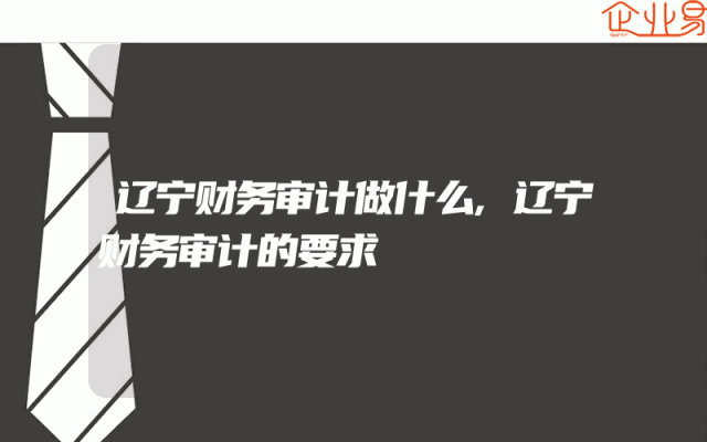 辽宁财务审计做什么,辽宁财务审计的要求