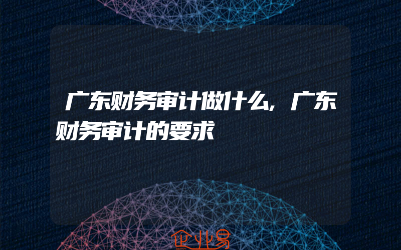 广东财务审计做什么,广东财务审计的要求