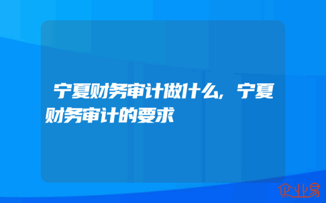 宁夏财务审计做什么,宁夏财务审计的要求