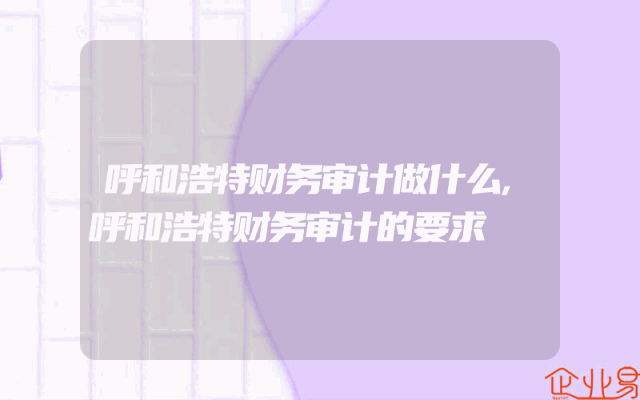 呼和浩特财务审计做什么,呼和浩特财务审计的要求