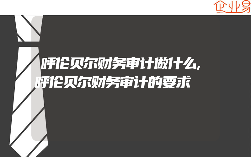 呼伦贝尔财务审计做什么,呼伦贝尔财务审计的要求