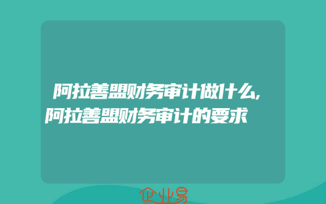 阿拉善盟财务审计做什么,阿拉善盟财务审计的要求