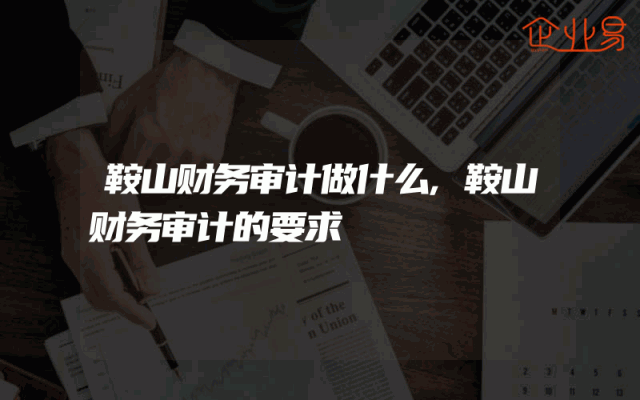 鞍山财务审计做什么,鞍山财务审计的要求