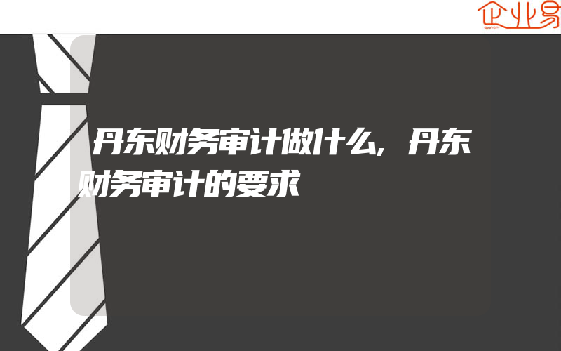 丹东财务审计做什么,丹东财务审计的要求