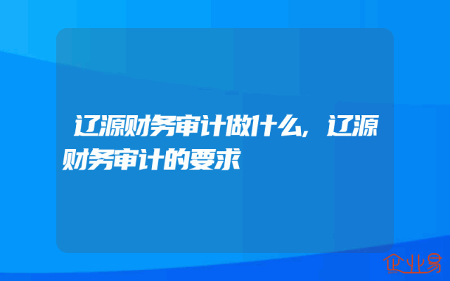 辽源财务审计做什么,辽源财务审计的要求