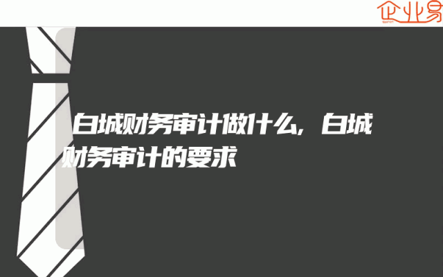 白城财务审计做什么,白城财务审计的要求