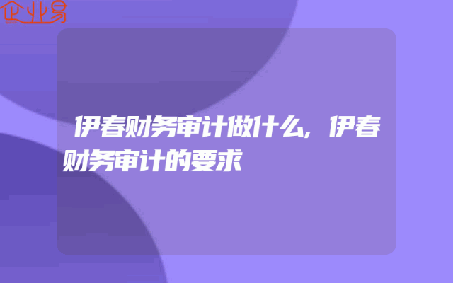 伊春财务审计做什么,伊春财务审计的要求