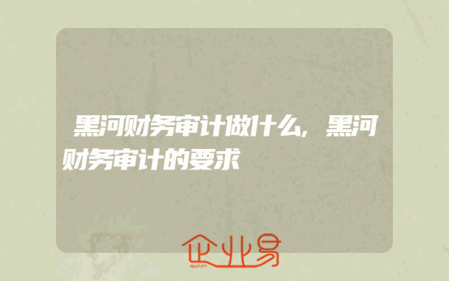 黑河财务审计做什么,黑河财务审计的要求