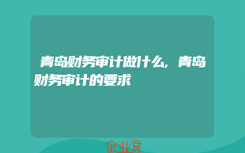 青岛财务审计做什么,青岛财务审计的要求