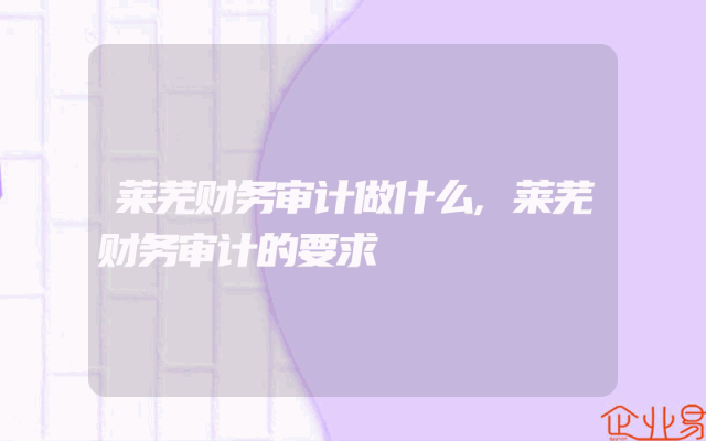 莱芜财务审计做什么,莱芜财务审计的要求