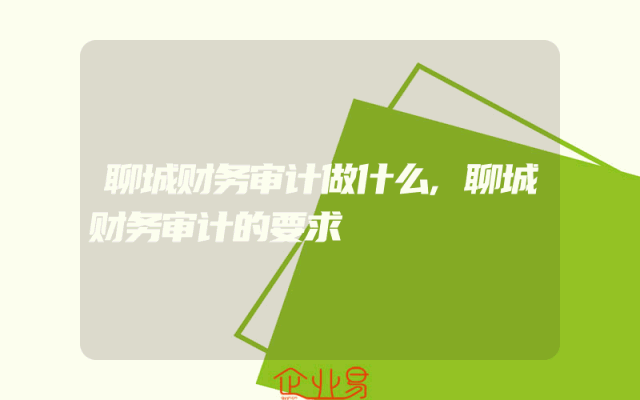 聊城财务审计做什么,聊城财务审计的要求