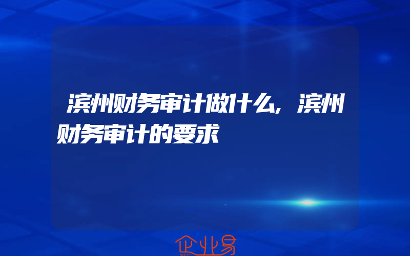 滨州财务审计做什么,滨州财务审计的要求