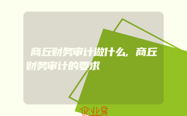 商丘财务审计做什么,商丘财务审计的要求