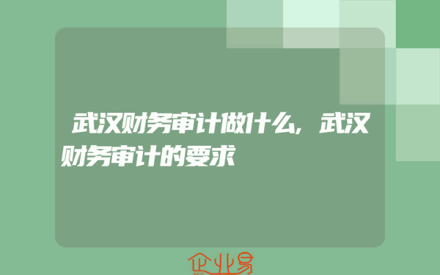 武汉财务审计做什么,武汉财务审计的要求