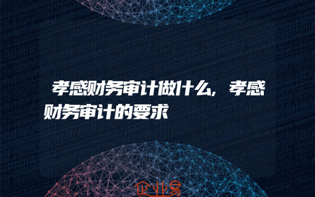孝感财务审计做什么,孝感财务审计的要求