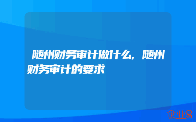随州财务审计做什么,随州财务审计的要求