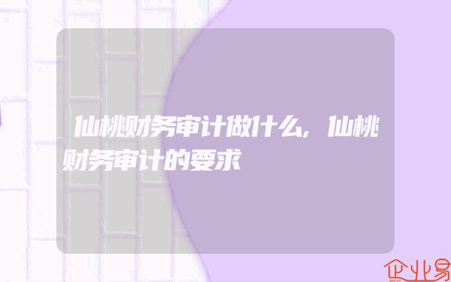 仙桃财务审计做什么,仙桃财务审计的要求