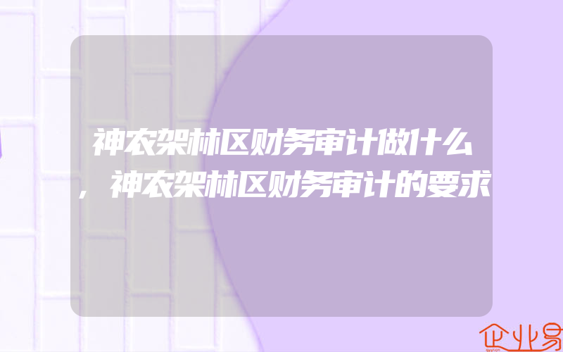 神农架林区财务审计做什么,神农架林区财务审计的要求