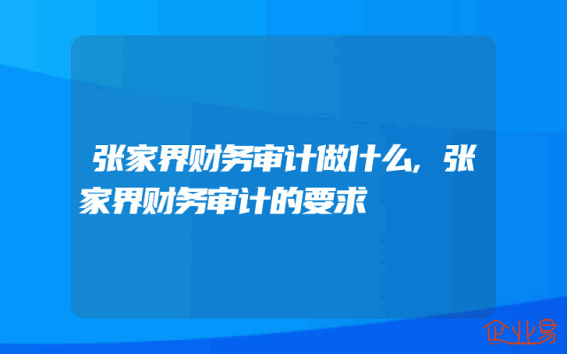 张家界财务审计做什么,张家界财务审计的要求