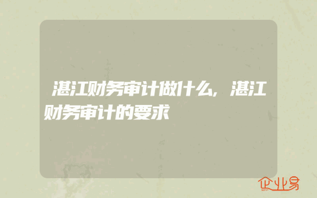 湛江财务审计做什么,湛江财务审计的要求