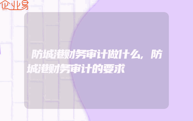 防城港财务审计做什么,防城港财务审计的要求