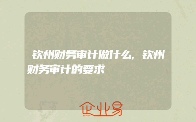钦州财务审计做什么,钦州财务审计的要求