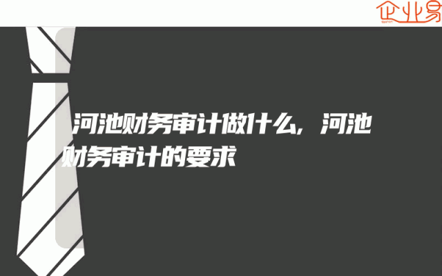 河池财务审计做什么,河池财务审计的要求