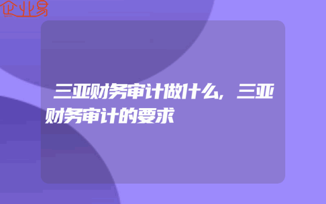 三亚财务审计做什么,三亚财务审计的要求