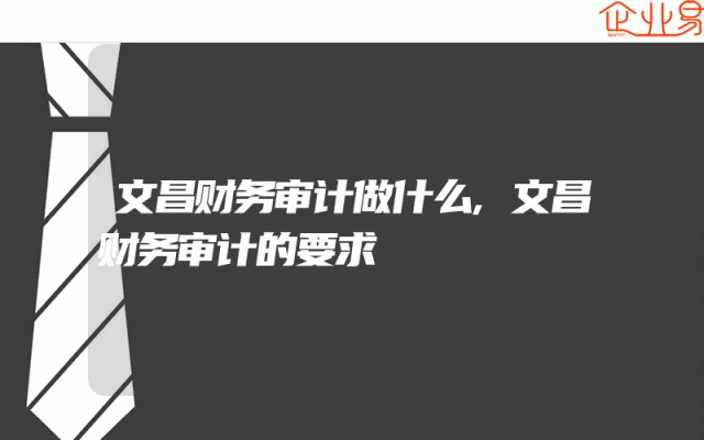 文昌财务审计做什么,文昌财务审计的要求