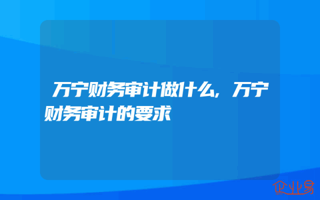 万宁财务审计做什么,万宁财务审计的要求