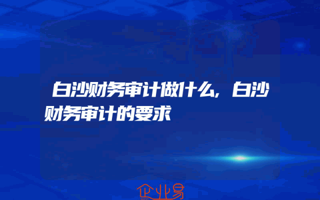 白沙财务审计做什么,白沙财务审计的要求