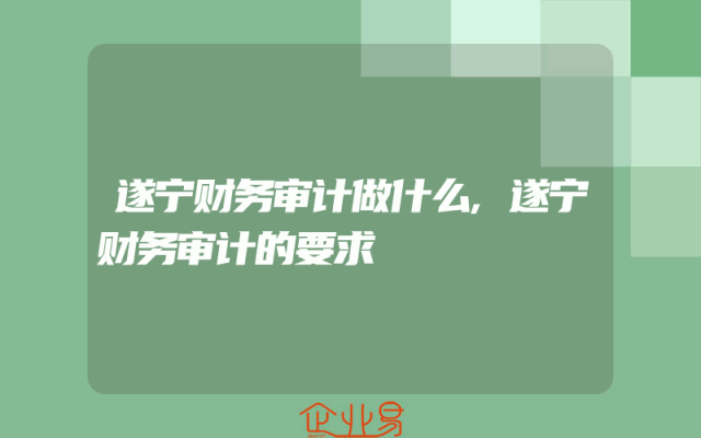 遂宁财务审计做什么,遂宁财务审计的要求